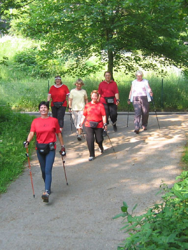 [Foto einer Nordic-Walking-Gruppe in Aktion]